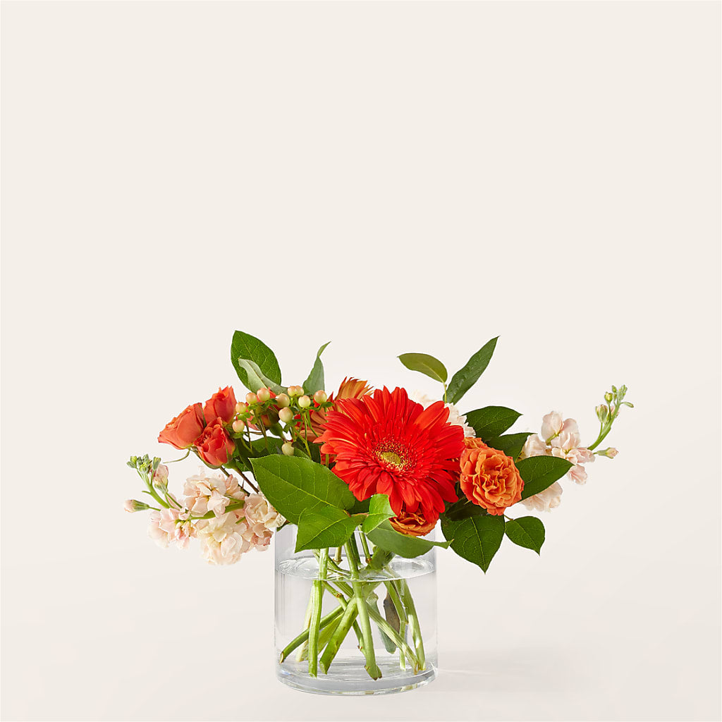 Paloma Please Bouquet – Raleighflowerexpress Llc, Holly Springs NC