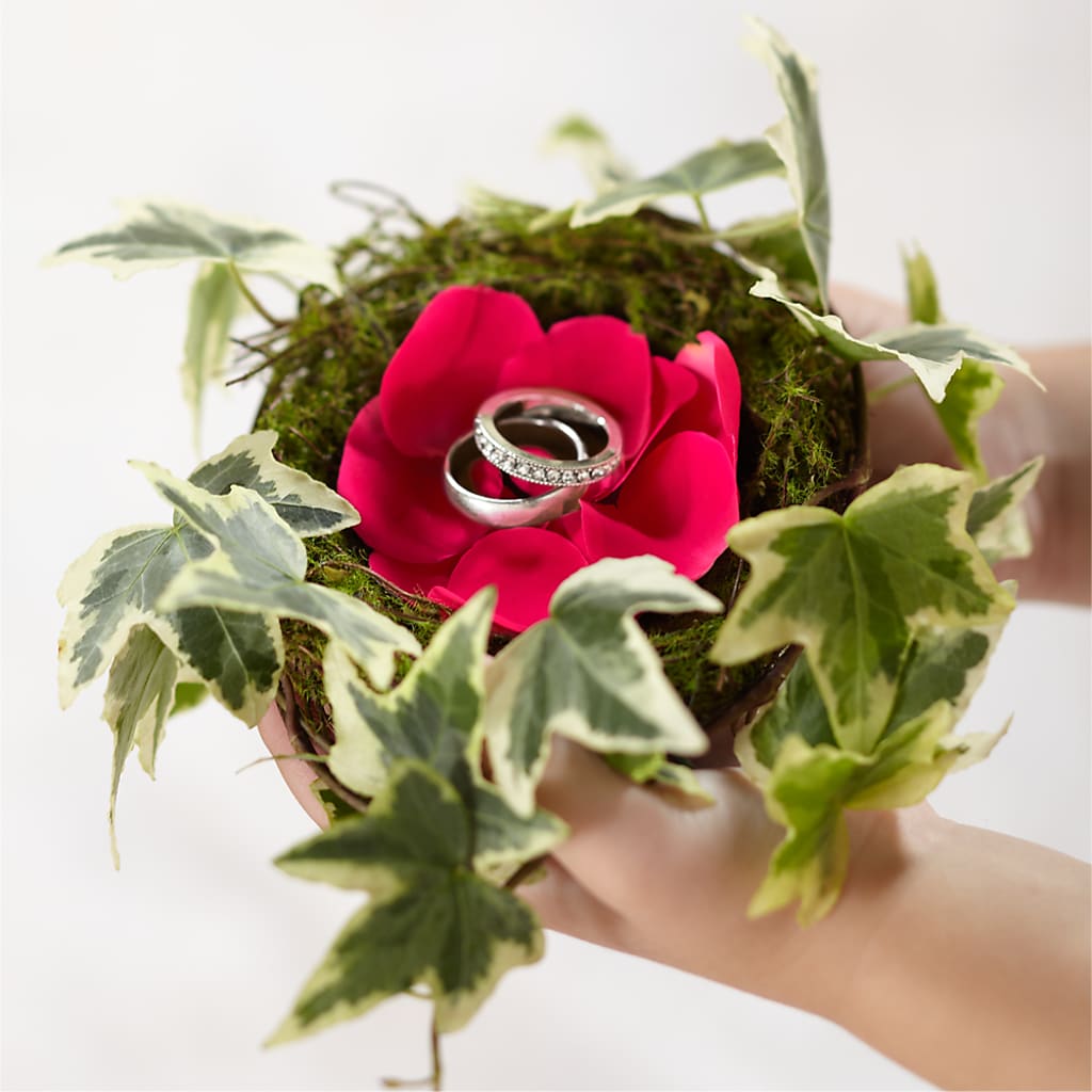 Lila Rose Ring Nest – Raleighflowerexpress Llc, Holly Springs NC
