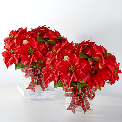 Happiest Holidays Poinsettia Bundle –  Raleighflowerexpress Llc, Holly Springs NC
