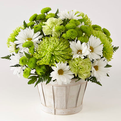 Lucky Charm Basket (Standard) –  Raleighflowerexpress Llc, Holly Springs NC