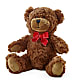 Adorable Plush Bear –  Raleighflowerexpress Llc, Holly Springs NC