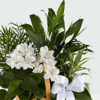 Peace & Serenity Dishgarden –  Raleighflowerexpress Llc, Holly Springs NC