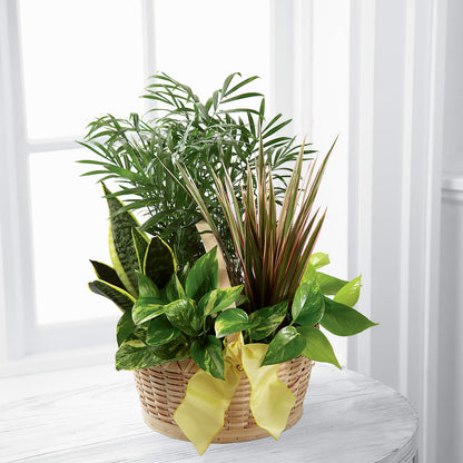 French Garden –  Raleighflowerexpress Llc, Holly Springs NC