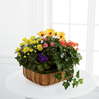 Gentle Blossoms Basket –  Raleighflowerexpress Llc, Holly Springs NC