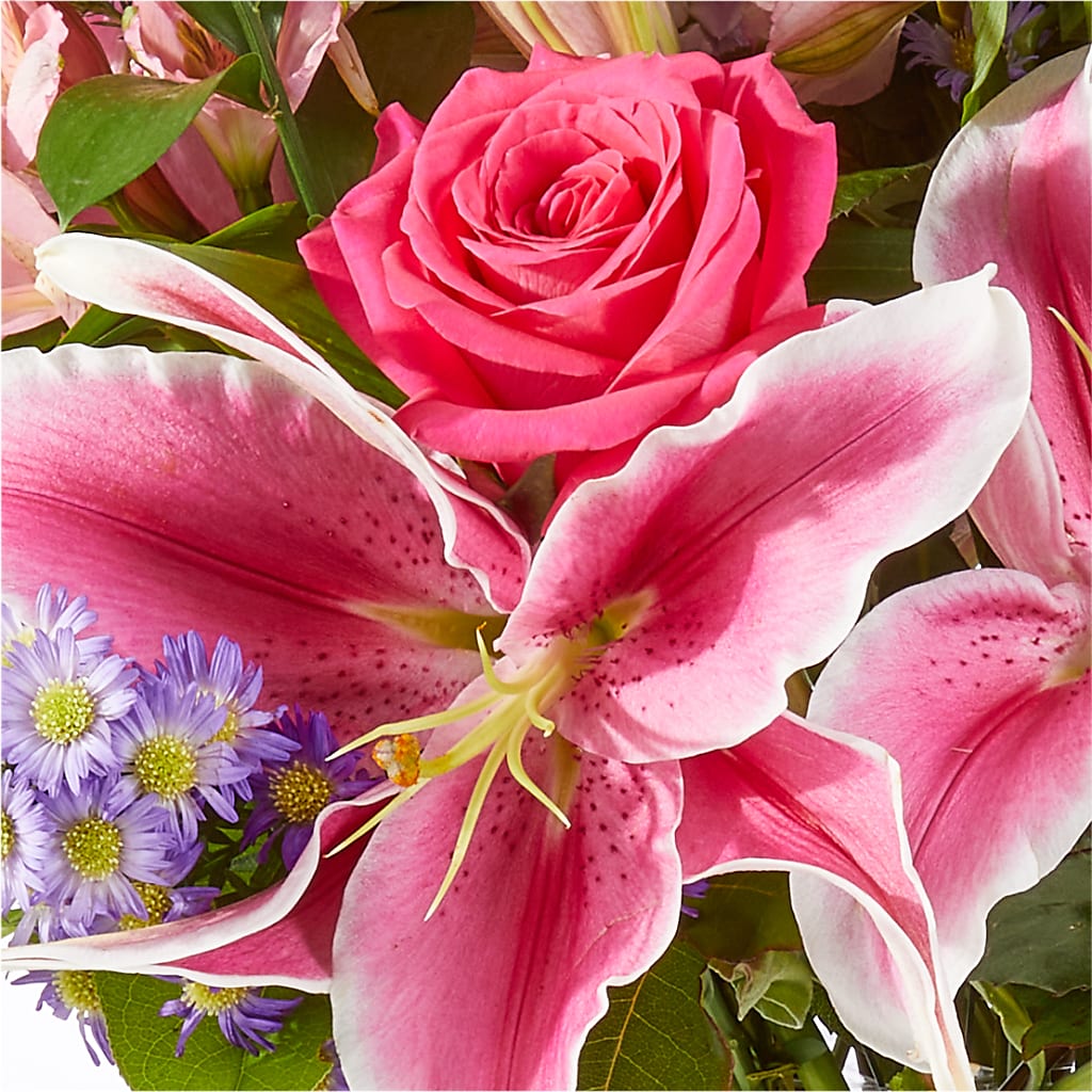 Written in the Stars Bouquet –  Raleighflowerexpress Llc, Holly Springs NC