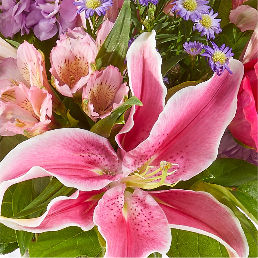 Written in the Stars Bouquet –  Raleighflowerexpress Llc, Holly Springs NC
