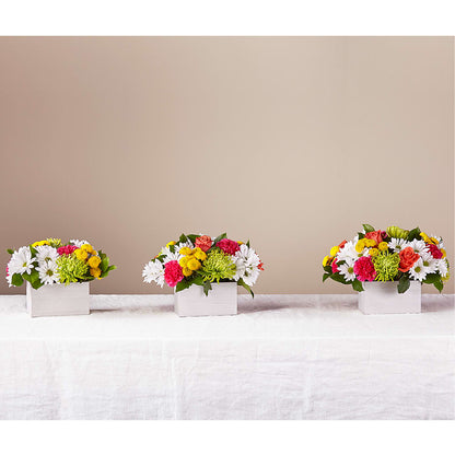 Sorbet Bouquet –  Raleighflowerexpress Llc, Holly Springs NC