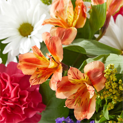 Oopsie Daisy Box Bouquet –  Raleighflowerexpress Llc, Holly Springs NC