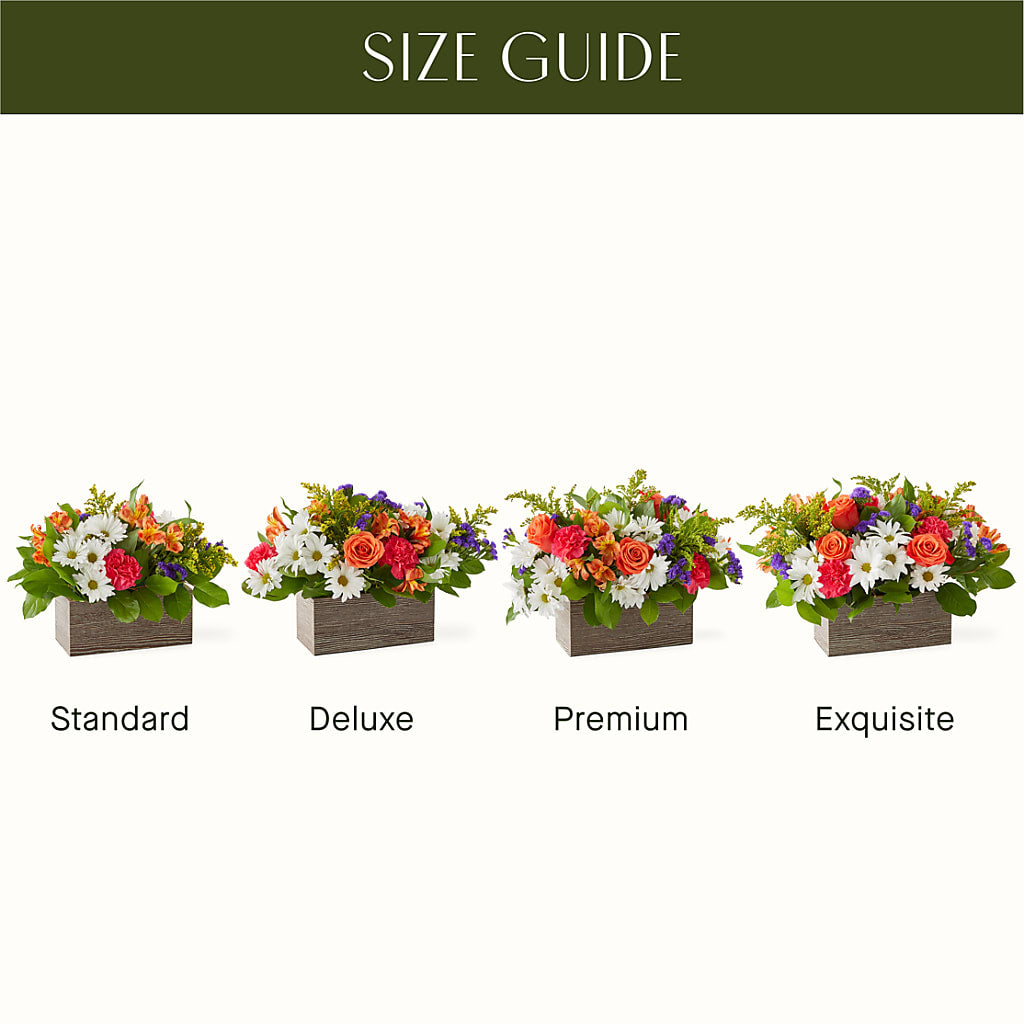 Oopsie Daisy Box Bouquet –  Raleighflowerexpress Llc, Holly Springs NC