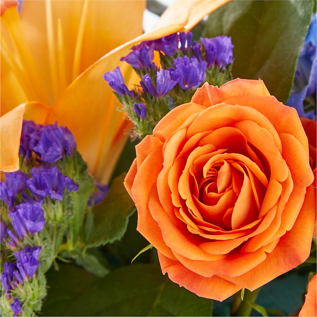 Radiant Citrus Box Bouquet –  Raleighflowerexpress Llc, Holly Springs NC