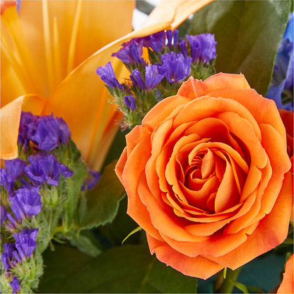 Radiant Citrus Box Bouquet –  Raleighflowerexpress Llc, Holly Springs NC