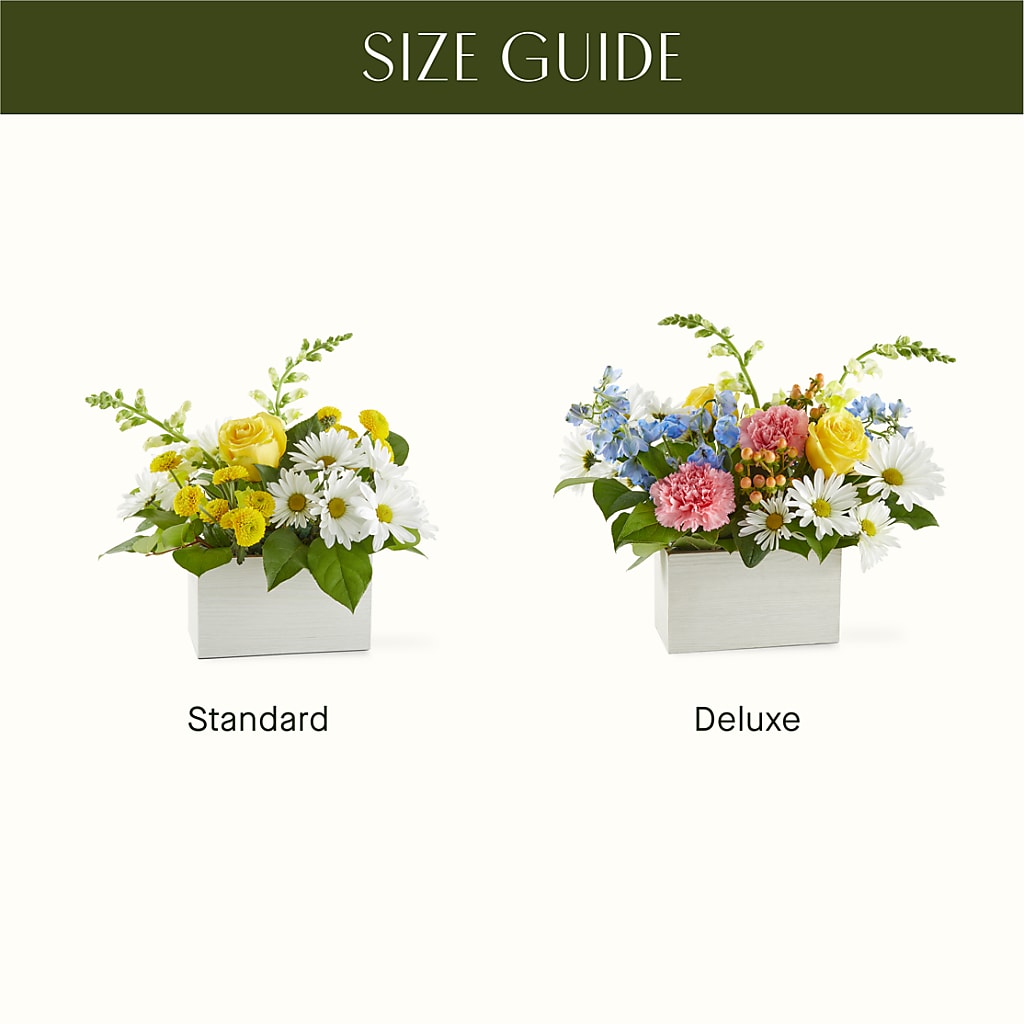 Sun Salutation Box Bouquet –  Raleighflowerexpress Llc, Holly Springs NC