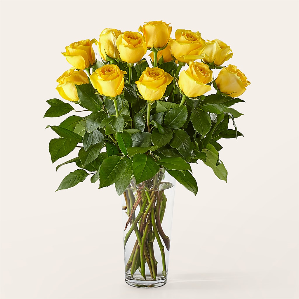 Long Stem Yellow Rose Bouquet –  Raleighflowerexpress Llc, Holly Springs NC