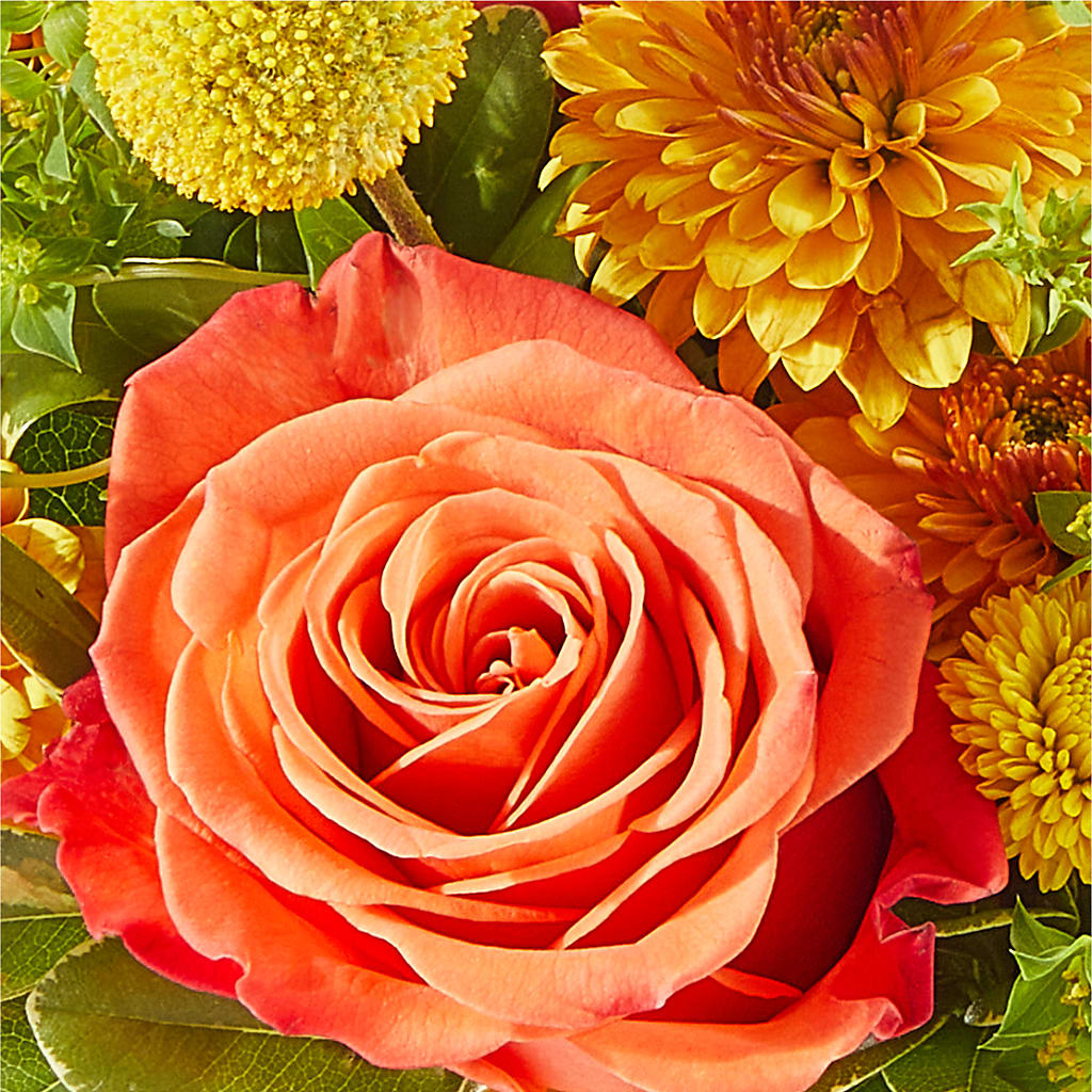 Gourdgeous Pumpkin –  Raleighflowerexpress Llc, Holly Springs NC