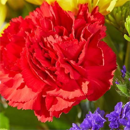 Brighter Days Bouquet –  Raleighflowerexpress Llc, Holly Springs NC