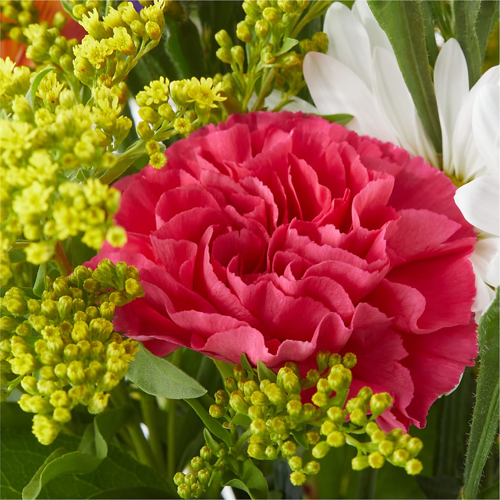 Oopsie Daisy Bouquet –  Raleighflowerexpress Llc, Holly Springs NC