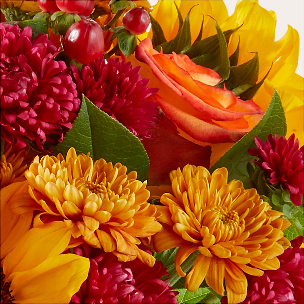 Sweater Season - A Florist Original –  Raleighflowerexpress Llc, Holly Springs NC