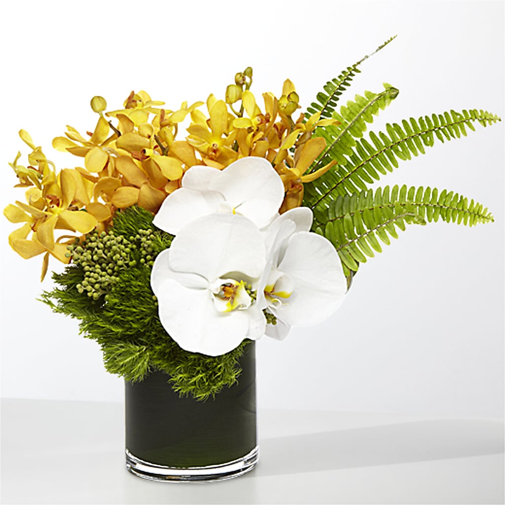 The Tropics –  Raleighflowerexpress Llc, Holly Springs NC