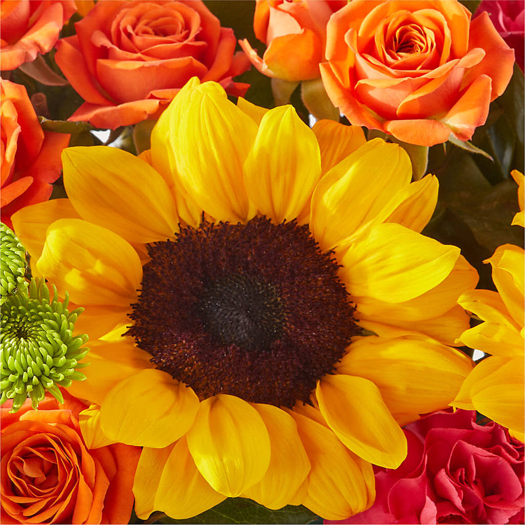 Sun-drenched Blooms Box Bouquet –  Raleighflowerexpress Llc, Holly Springs NC