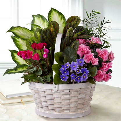Peaceful Garden Planter –  Raleighflowerexpress Llc, Holly Springs NC