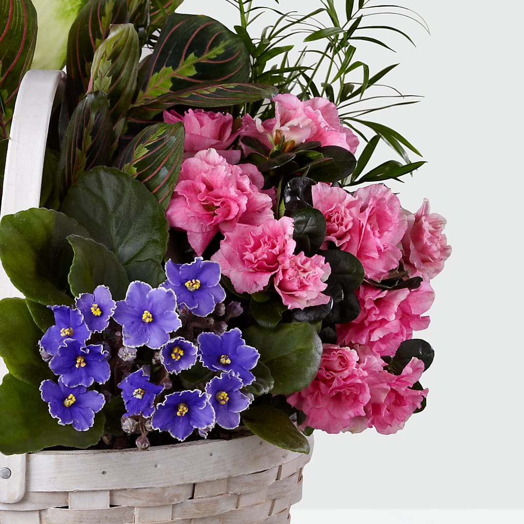 Peaceful Garden Planter –  Raleighflowerexpress Llc, Holly Springs NC