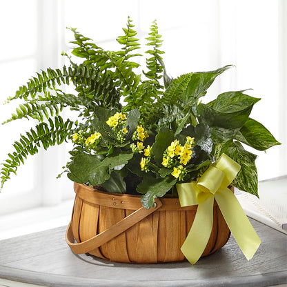Always Dear Dishgarden –  Raleighflowerexpress Llc, Holly Springs NC