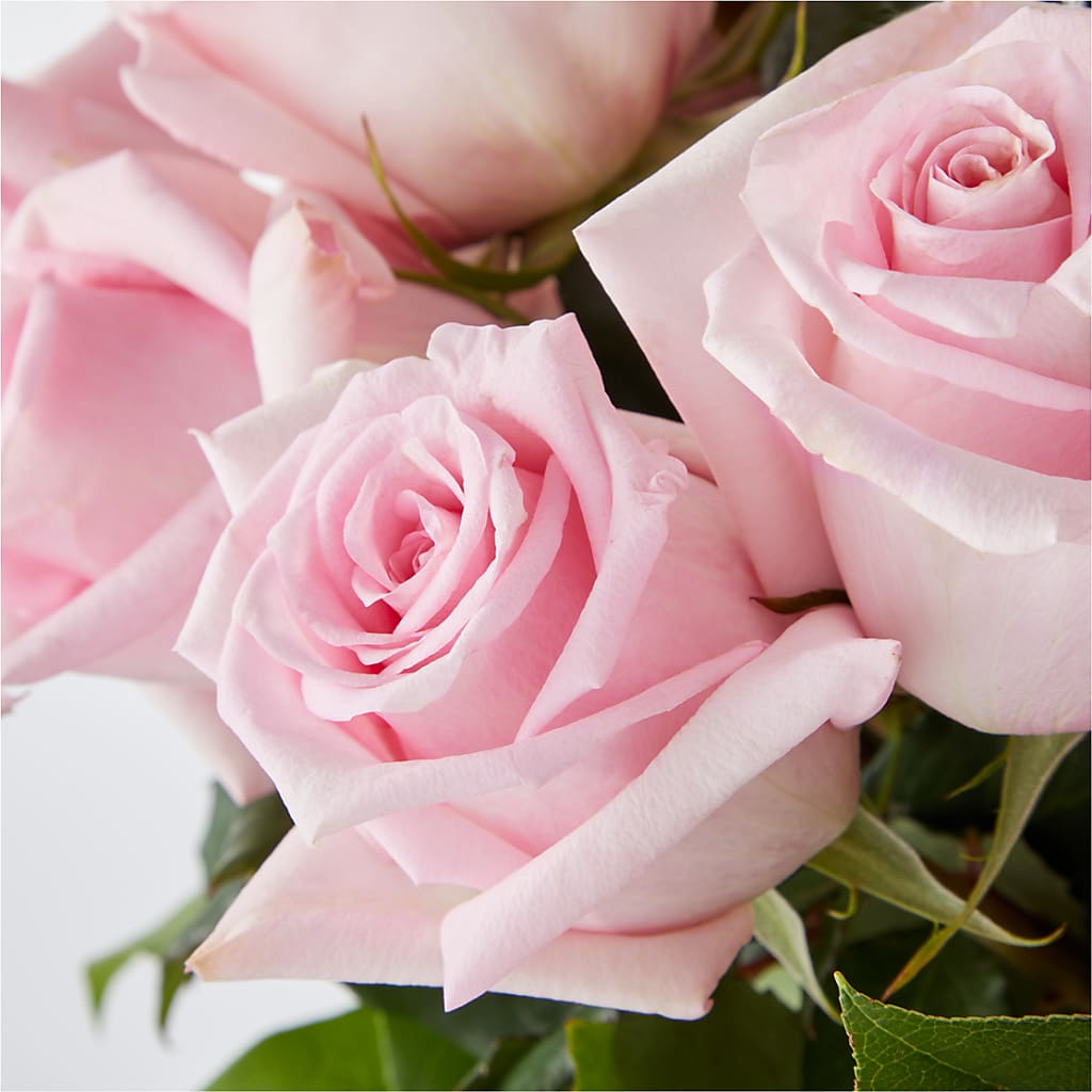 Picture Perfect Pink Rose Bouquet –  Raleighflowerexpress Llc, Holly Springs NC