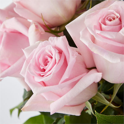 Picture Perfect Pink Rose Bouquet –  Raleighflowerexpress Llc, Holly Springs NC