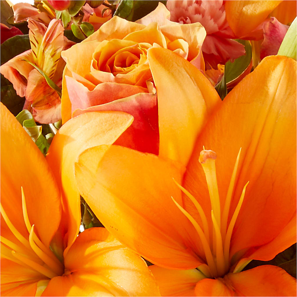 Afternoon Light Bouquet –  Raleighflowerexpress Llc, Holly Springs NC