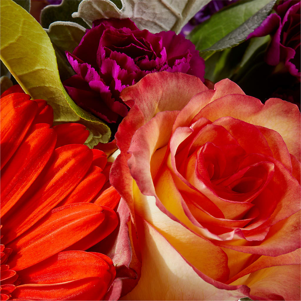 Sangria Bouquet –  Raleighflowerexpress Llc, Holly Springs NC
