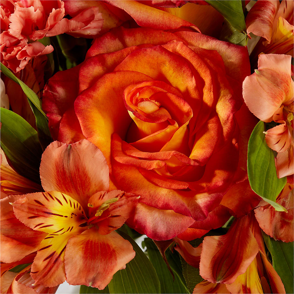 Apricot Glow Bouquet –  Raleighflowerexpress Llc, Holly Springs NC