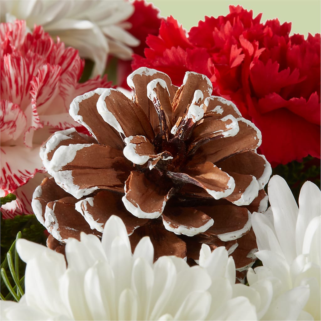 Candy Cane Lane Bouquet –  Raleighflowerexpress Llc, Holly Springs NC