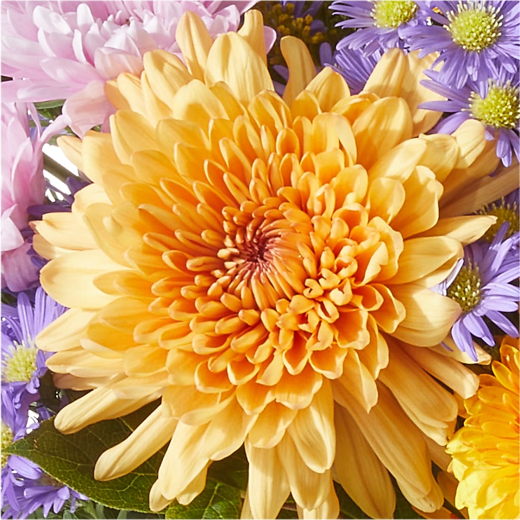 Countryside Bouquet –  Raleighflowerexpress Llc, Holly Springs NC