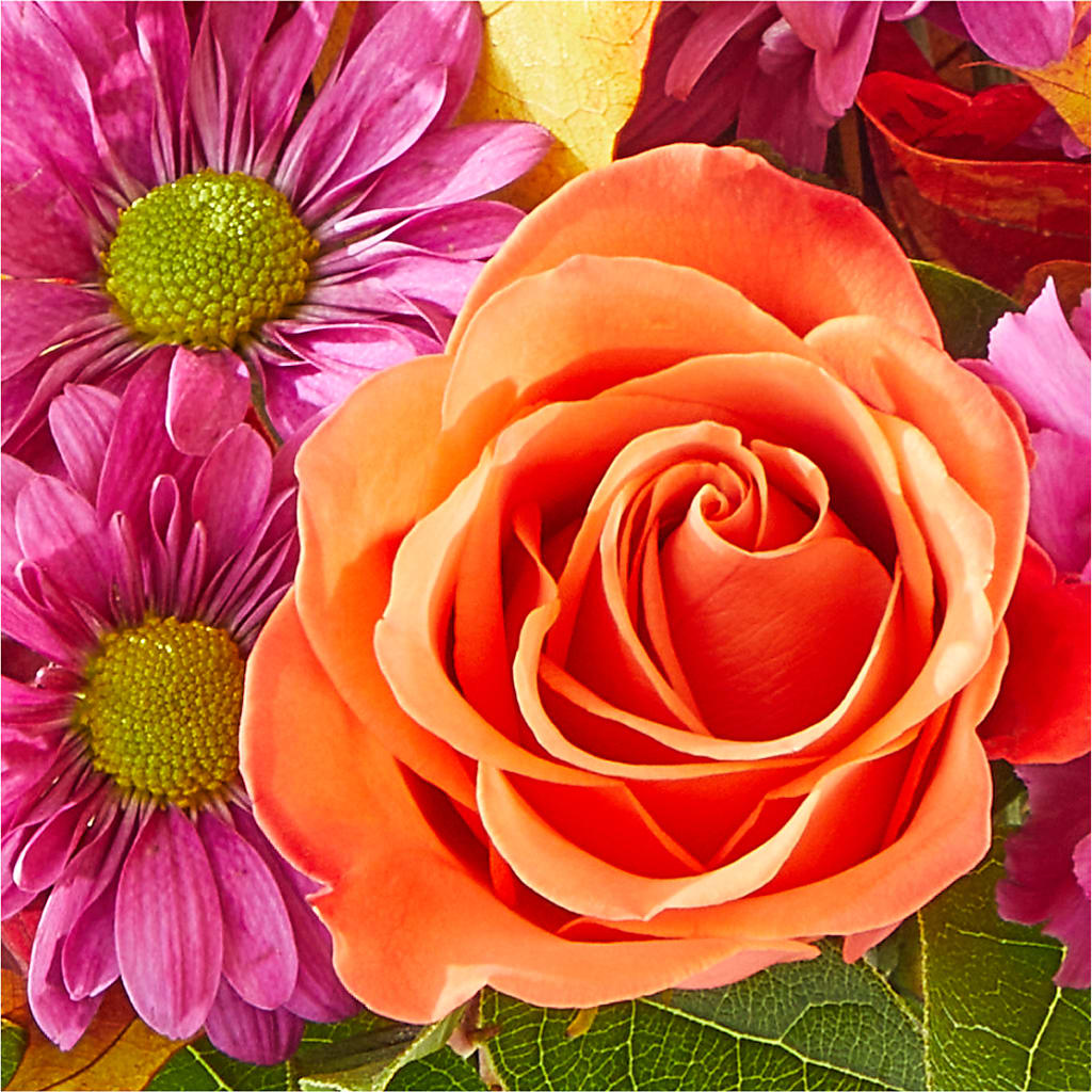Mum's the Word Bouquet –  Raleighflowerexpress Llc, Holly Springs NC