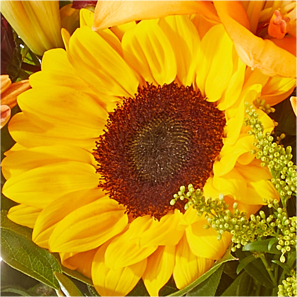 Seasons Change Bouquet –  Raleighflowerexpress Llc, Holly Springs NC