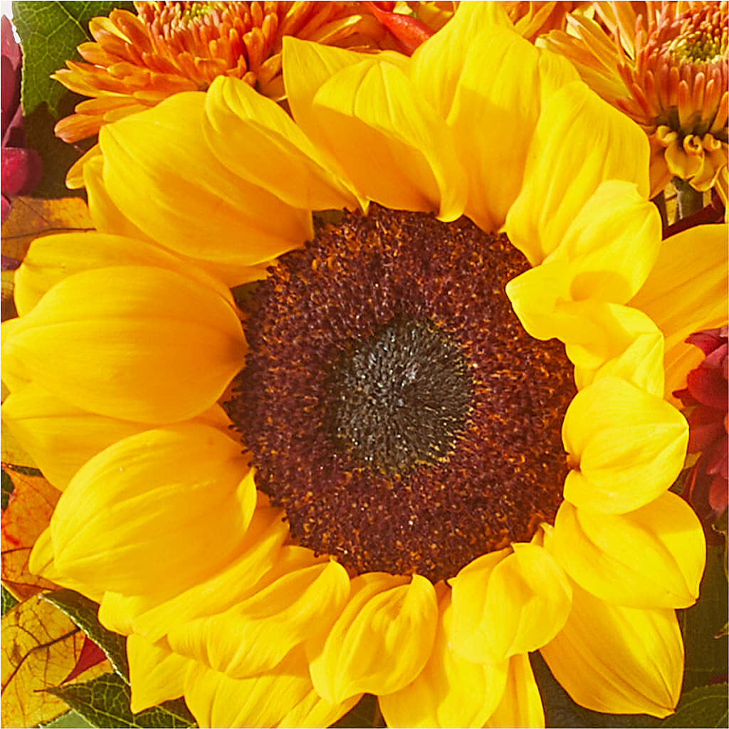 Sunny Side Bouquet –  Raleighflowerexpress Llc, Holly Springs NC