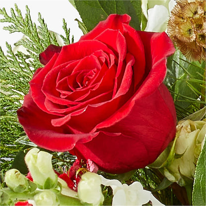 Deck the Halls Bouquet –  Raleighflowerexpress Llc, Holly Springs NC