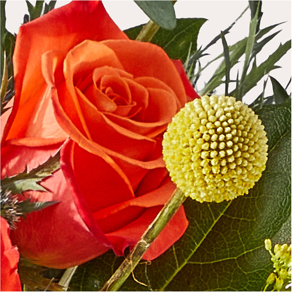 Disco Bouquet –  Raleighflowerexpress Llc, Holly Springs NC