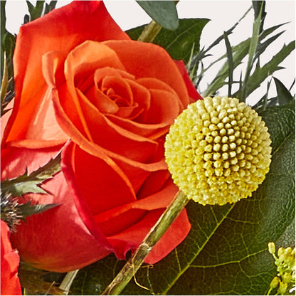 Disco Bouquet –  Raleighflowerexpress Llc, Holly Springs NC
