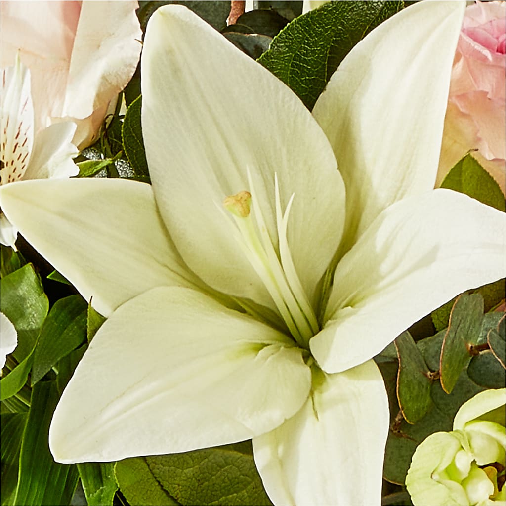 Ballet Slippers Bouquet –  Raleighflowerexpress Llc, Holly Springs NC