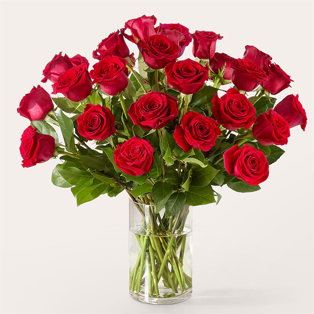 The One Red Rose Bouquet –  Raleighflowerexpress Llc, Holly Springs NC
