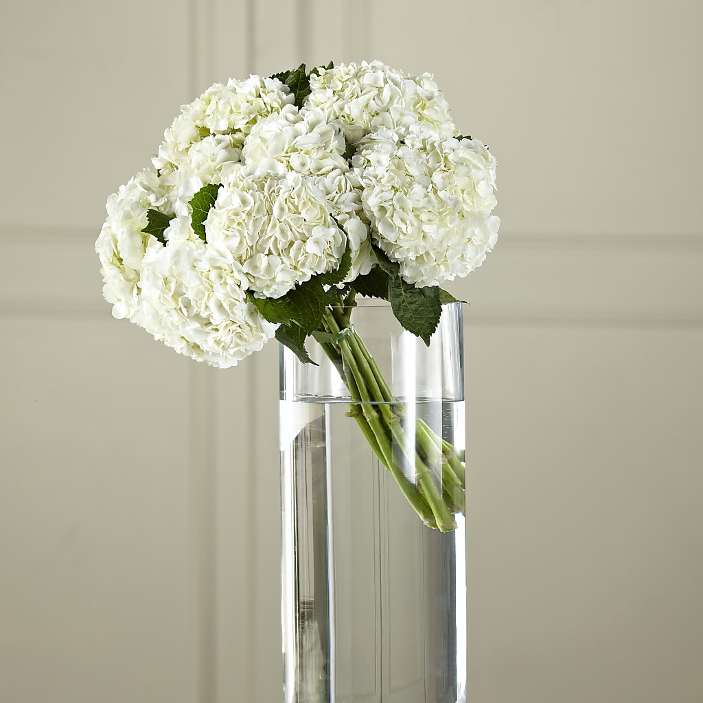 White Hydrangea Hand-Tied Bouquet –  Raleighflowerexpress Llc, Holly Springs NC