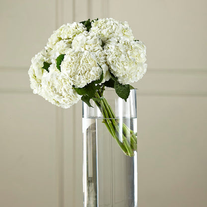 White Hydrangea Hand-Tied Bouquet –  Raleighflowerexpress Llc, Holly Springs NC